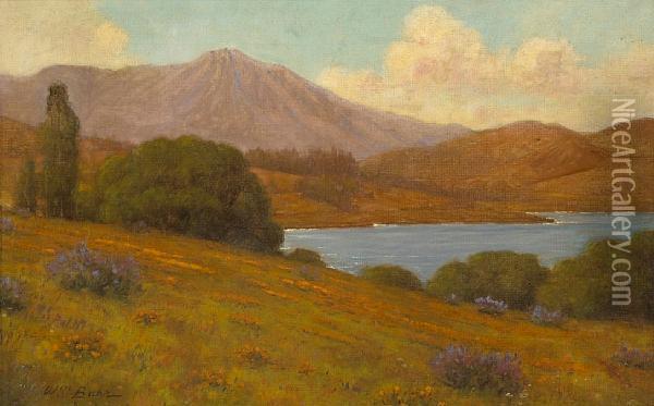 View Of Mt. Tamalpais Oil Painting - William Barr