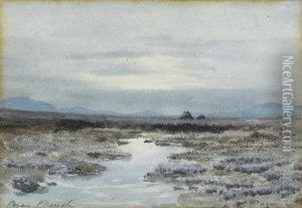 A Bog At Dusk Oil Painting - William Percy French