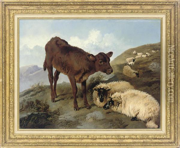 A Calf And Sheep In A Landscape Oil Painting - Joseph Horlor