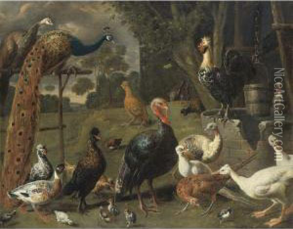 Peacock And Peahen On A Perch, Turkeys, A Pheasant And Poultry By Awell Oil Painting - Adriaen van Utrecht