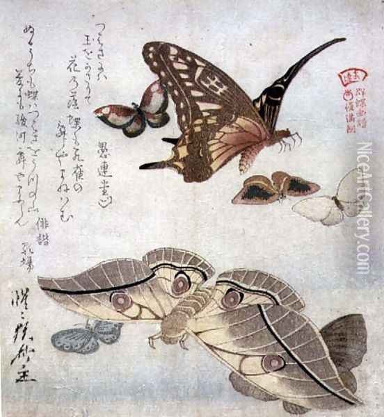 Tsubasa ni wa... first line of poem from the series Illustrated Collection of Butterflies, c.1804-18 Oil Painting - Kubo Shunman