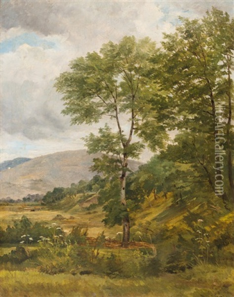 Baumreiche Landschaft Bei Bewolktem Himmel Oil Painting - Otto Froelicher