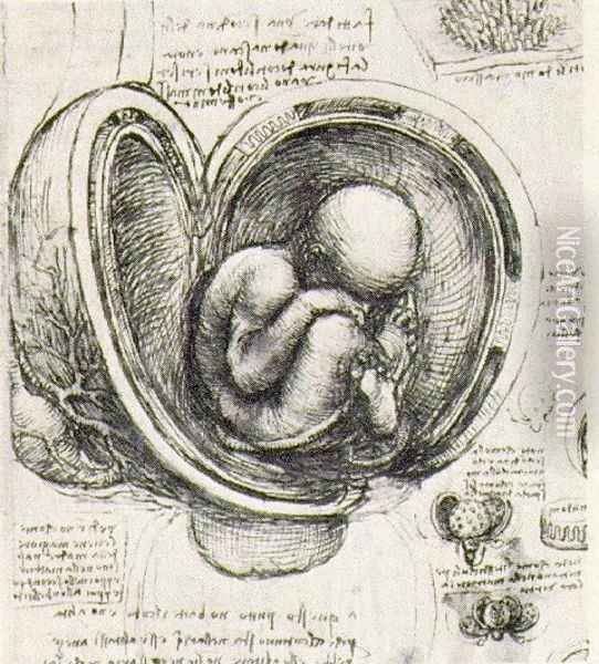 Womb Study Oil Painting - Leonardo Da Vinci
