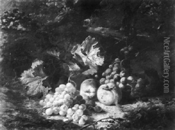 A Chaffinch, Grapes, A Peaches On A Mossy Bank, A Forest    Landscape Beyond Oil Painting - Joseph Denovan Adam