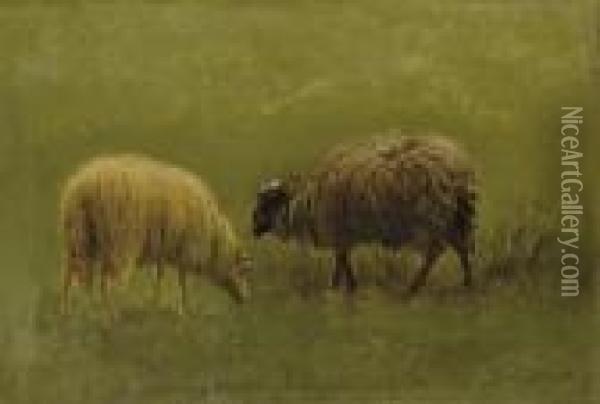 Etude De Moutons Oil Painting - Rosa Bonheur