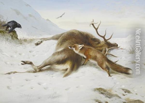 Not For The Larder Oil Painting - Archibald Thorburn