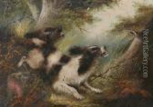 Spaniels Flushing A Woodcock, Signed Oil Painting - George Armfield