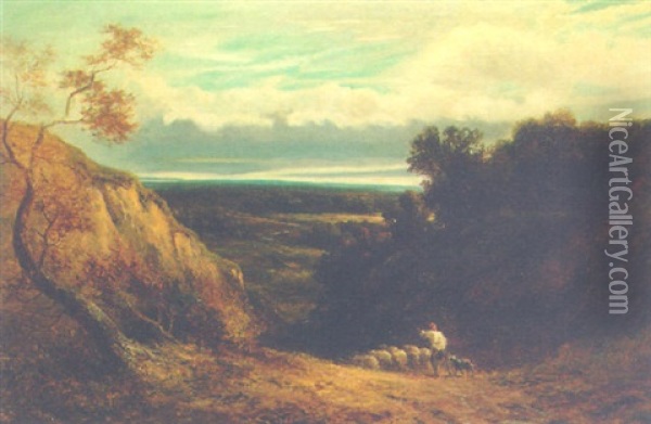 An Extensive Wooded Landscape With A Shepherd And Flock Oil Painting - David Cox the Elder