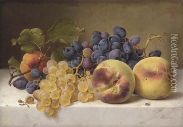 A Still Life With Peaches And Grapes On A Marble Ledge Oil Painting - Johann Wilhelm Preyer
