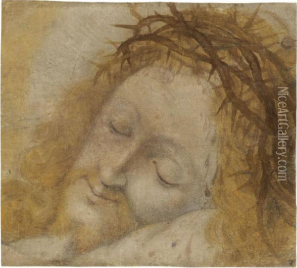 Head Of Christ, Crowned With Thorns Oil Painting - Bernardino Luini