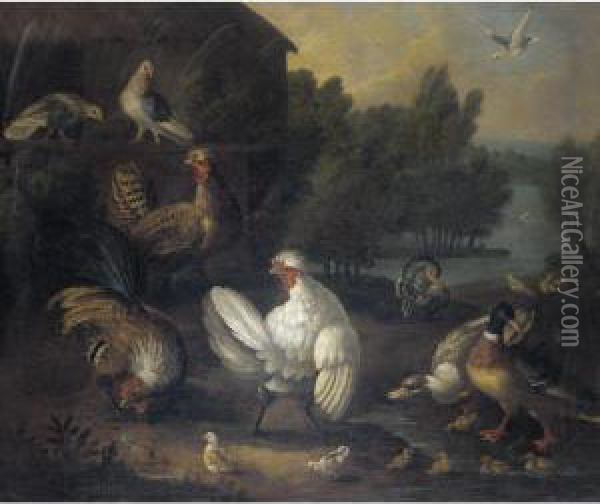 A Farmyard Still Life With 
Doves, Chickens And Chicks, Ducks And Ducklings, A Cockerel, And A 
Turkey Oil Painting - Marmaduke Cradock