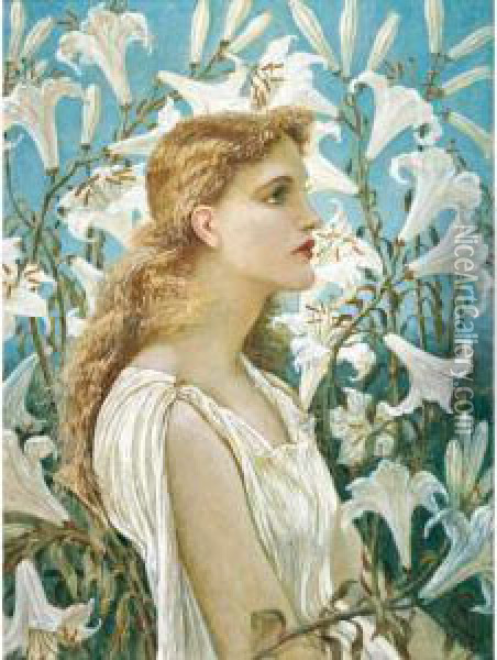 Lilies Oil Painting - Walter Crane