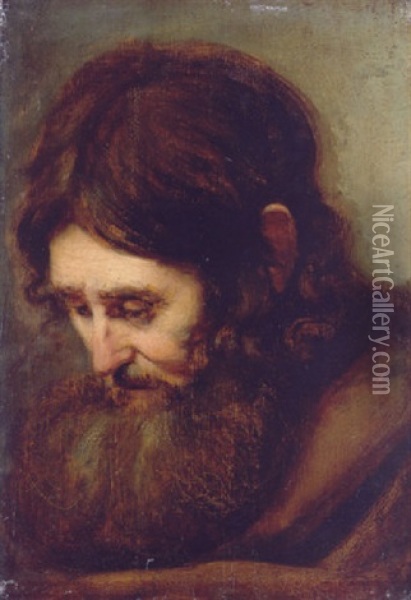 A Bearded Man, Head-and-shoulders Oil Painting -  Rembrandt van Rijn