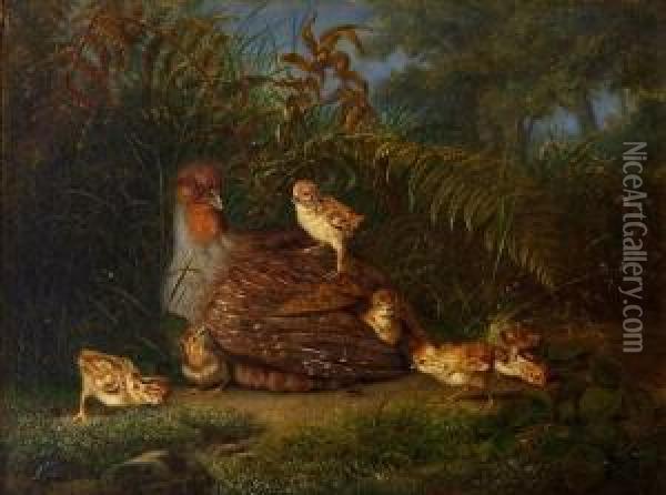 Rapphone Med Kyllinger 1862 Oil Painting - Christian August Printz