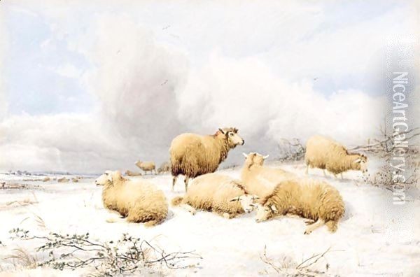 Sheep In A Snowy Landscape Oil Painting - Thomas Sidney Cooper