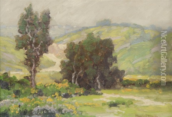 Yellow Flowers In A California Landscape Oil Painting - Maurice Braun
