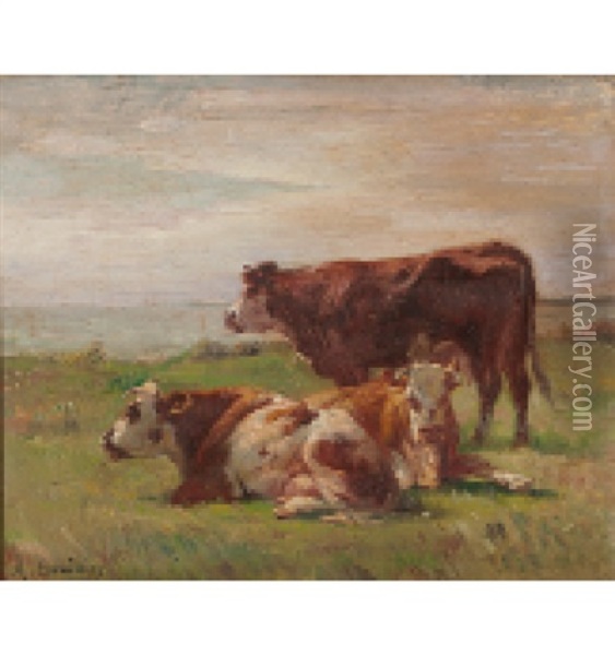 Liegende Kuhe Oil Painting - Amable Bouillier