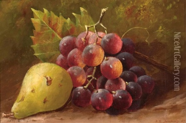 Still Life Of Grapes And A Pear In A Naturalistic Setting Oil Painting - Robert Spear Dunning