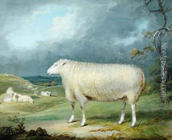 A Border Leicester Ewe Oil Painting - James Ward