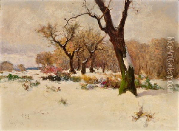 Winterlandschaft Oil Painting - Antal (Laszlo) Neogrady