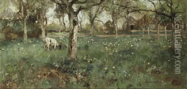A Goat Grazing In A Spring Orchard Oil Painting - Cornelis Vreedenburgh