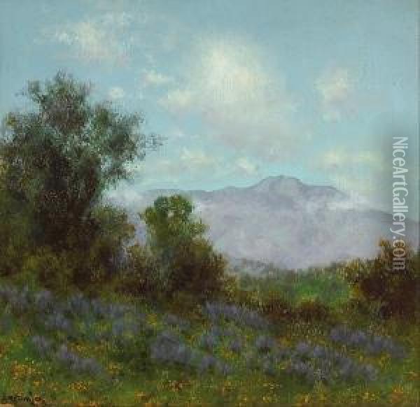 Mt. Tamalpais Oil Painting - Charles Robinson