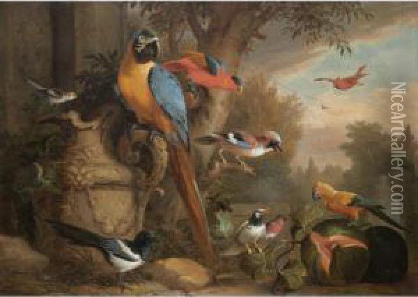 An Assembly Of Birds In A Parkland Setting, Including A Parrot, A Jay, And A Magpie Oil Painting - Jakob Bogdani Eperjes C