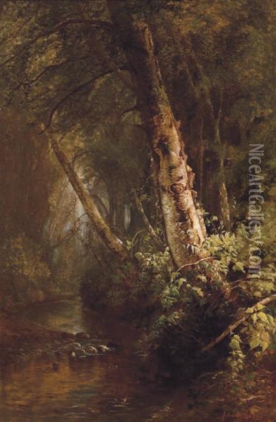 The Old Birch Tree Oil Painting - Julie Hart Beers