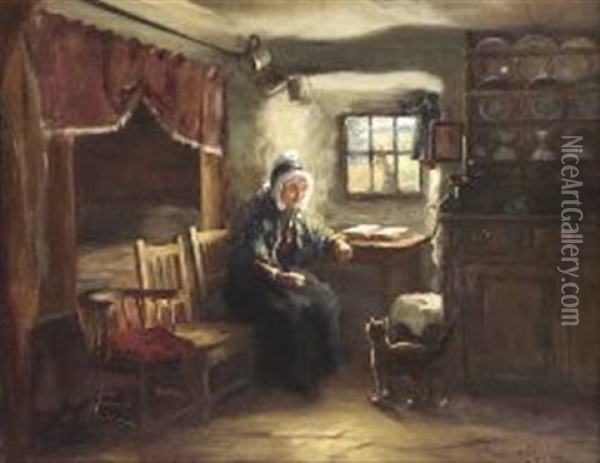 Interior Scene With Old Woman And Cat Oil Painting - Tom Mcewan