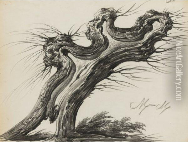 Study Of A Pollarded Tree Oil Painting - Alphonse N. Michel Mandevare