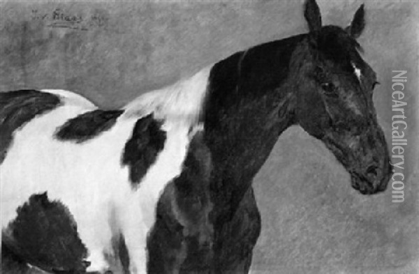 Pferdeportrait Oil Painting - Julius von Blaas