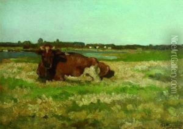 Weidelandschaft Mit Kuh. Oil Painting - Adriaan Jozef Heymans