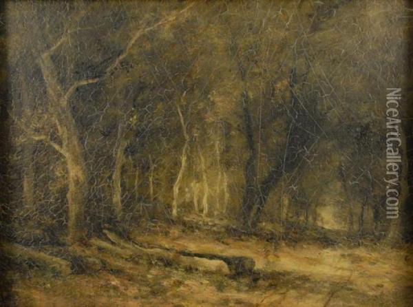 Sunlit Forest Oil Painting - Narcisse-Virgile D Az De La Pena