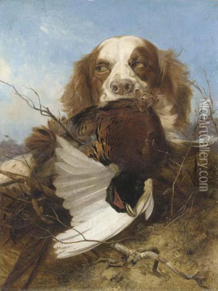 An English Setter With A Pheasant Oil Painting - Richard Ansdell