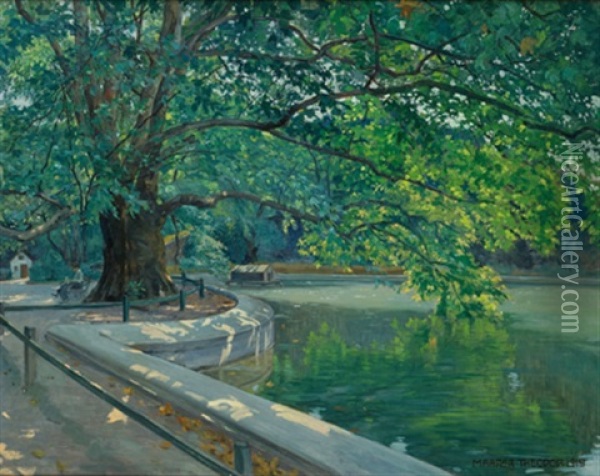 Partie Aus Dem Schwarzenbergpark Oil Painting - Theodor Maader