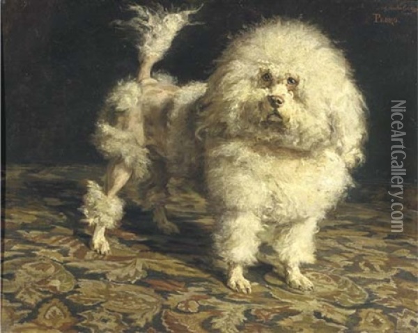 Pedro: Portrait Of A Poodle Oil Painting - Charles van den Eycken