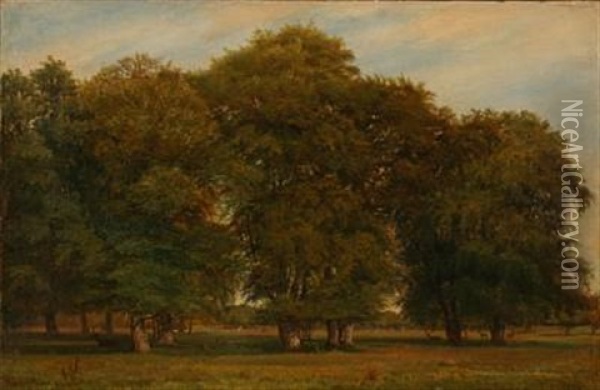 A Summer Day In Dyrehaven Forest, Denmark Oil Painting - Nordahl (Peter Frederik N.) Grove