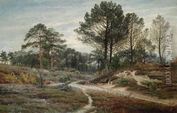 Moorland With Trees Oil Painting - Gerard Jozef Adrian Van Luppen