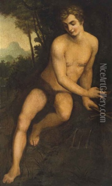 Saint John The Baptist Oil Painting - Daniele (da Volterra) Ricciarelli