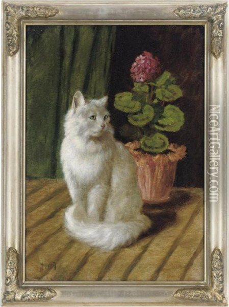 A White Cat With Geraniums Oil Painting - Arthur Heyer