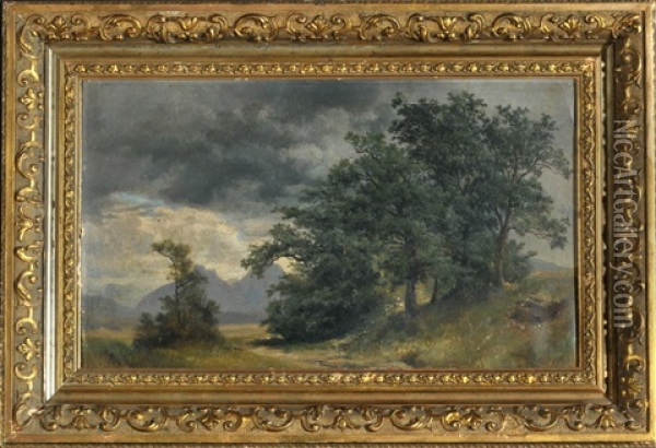 Landschaftsstudie Bei Salzburg Oil Painting - Karl Franz Emanuel Haunold