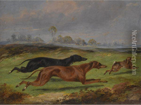 Two Lurchers Coursing Oil Painting - Henry Thomas Alken