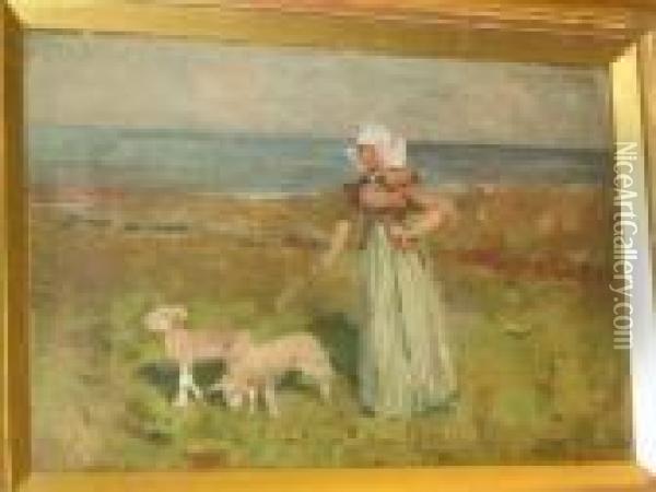 Shepherdess Tending Orphan Lambs Oil Painting - Peter MacGregor Wilson