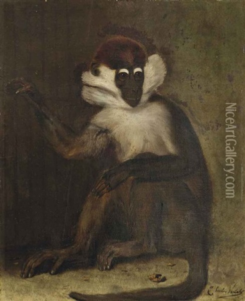 Un Macaque Oil Painting - Charles Verlat