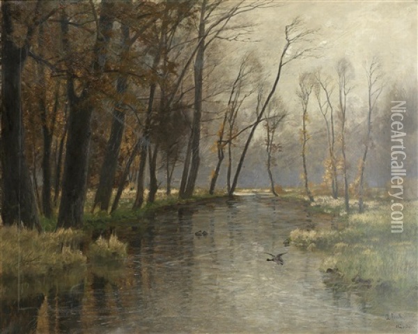 Aulandschaft Oil Painting - August Fink