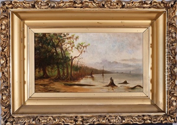 Lakefront, New Orleans Oil Painting - Andres Molinary
