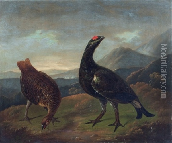 Studies Of Black Grouse, A Pair Oil Painting - Stephen Elmer