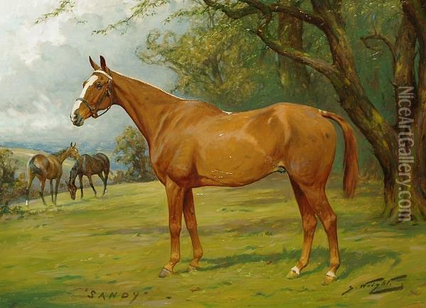 Portrait Of A Chesnut Hunter, 'sandy' Oil Painting - George Wright