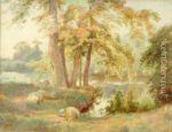 Sheepresting Under Trees Beside A River Oil Painting - Charles Ii Collins