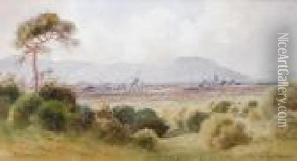 View Of Belfast From Castlereagh Oil Painting - Joseph Carey Carey